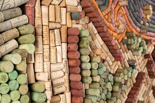 Detailed view of colored cork trails and landmarks in First Tracks